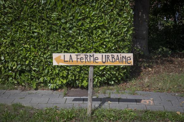 (image : Bea Borgers)